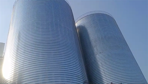 荔湾2座混凝土高架卷板仓